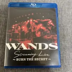 WANDS LIVE BURN THE SECRET ブルーレイ