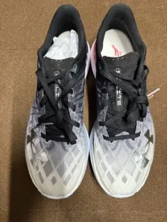 Item thumbnail for item 376d325b-ec9a-468d-a6da-cfaf90f5fc99