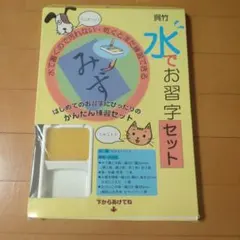 Item thumbnail for item d0d4ff73-7ce7-4ae9-9c5f-b97eacde52cc