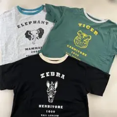 アンティカ　キッズリンガーTシャツ 3枚セットのサムネイル