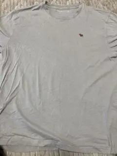 Abercrombie & Fitch Tシャツ グレー 2XL