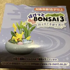 リーメント ぽけっとBONSAI3 移りゆく季節と共に ピカチュウ&メッソン
