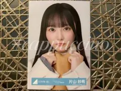 Item thumbnail for item e9344017-5b22-4ac7-be48-2b176271d5ed