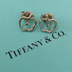 (C071609) Tiffany＆Co. ティファニー アップルピアスのサムネイル