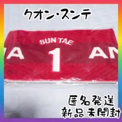 鹿島アントラーズ　クォンスンテ　マフラータオル　新品未開封