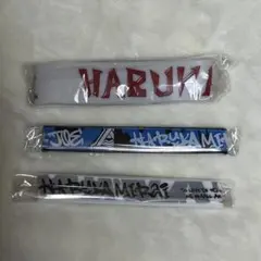 ハルカミライ ラバーバンドのサムネイル