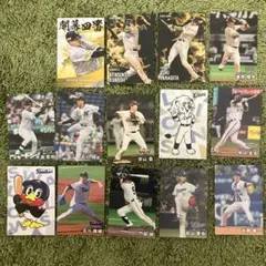 プロ野球 チップスカードセット　2025