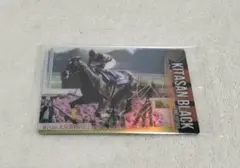 (田中すみれ)KFC ウマ娘 キタサンブラック サイン入 トレカ 2025年最新】ウマ娘 KFC サイン入りの人気アイテム - メルカリ