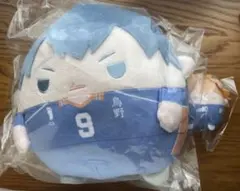 ハイキュー くじメイト ぬいくじ 影山C賞 日向E賞