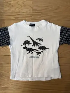 Item thumbnail for item 7000787d-7234-4160-af97-c343e0ef8afb