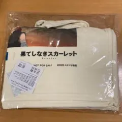 Item thumbnail for item c15f1a81-1969-40eb-ac64-09018501ea0e