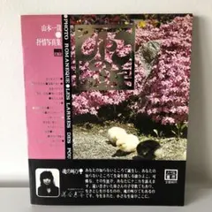 2026年最新】山田由起子の人気アイテム - メルカリ