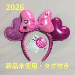 【タグ付き未使用】ミニー ファンダーランド パルパルーザ カチューシャ 2026