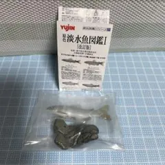 ワンフェス限定 初代総K2M白色彗星帝国イーターIIんどぱら屋宇宙戦艦