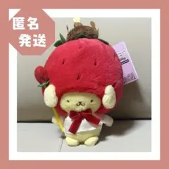 サンリオ いちごのお家 なりきりぬいぐるみ　マスコットキーホルダー　Sanrio