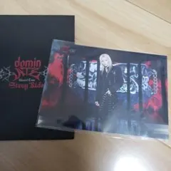 straykids スキズ dominATE ラントレ フィリックス トレカ