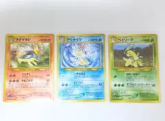 ミ*ウ様 旧裏 PSA3連番 アリゲイツ マグマラシ ベイリーフ - メルカリ
