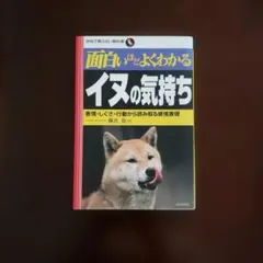 Item thumbnail for item 52eeafe8-ec81-429d-ba2a-a3bc0990a3d3