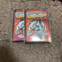 遊戯王 ブルアイズ•トゥーン•ドラゴン プロテクター3点セット - メルカリ