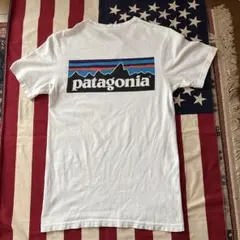 Patagonia パタゴニア×ビームス×コヨーテ 花井祐介 Tシャツ XS - メルカリ