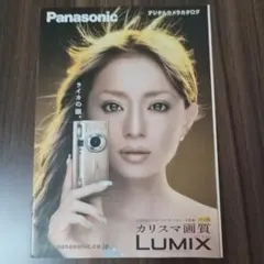 浜崎あゆみ パナソニック LUMIXパンフレット - メルカリ