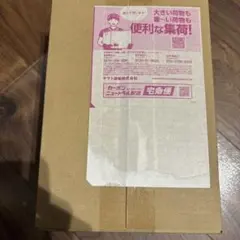 ポケモンカードゲーム MEGA拡張パック ニンジャスピナー BOX シュリンク付