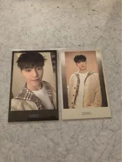 SEVENTEEN CARAT LAND DINO トレカ 2枚セット