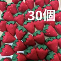 かんちゃん様★大粒赤10個