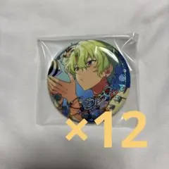 ア*リ様 巴日和缶バッジ12点セット