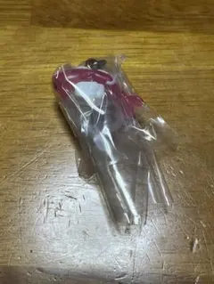 未開封）ポケモン　めじるしアクセサリー2 シャリタツ