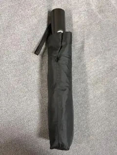 Item thumbnail for item f716483f-2cc6-4a08-8b9b-30fce14f761c