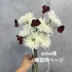 ema様　専用ページ