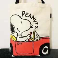 Item thumbnail for item 5b9bf12c-efec-429c-b0d8-cb94ac773674