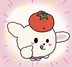 新品 TENTIAL BAKUNE レディース 半袖 Mサイズ