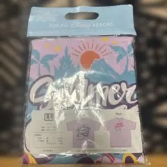 Item thumbnail for item 38c5f41b-e340-44d6-a543-6164108f498a