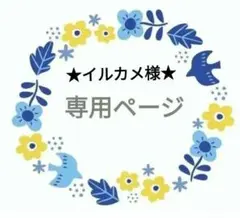 ❦イルカメ様専用ページ❦