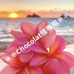 Chocolat様 リクエスト 4点 まとめ商品