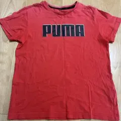 PUMA レッド Tシャツ 150