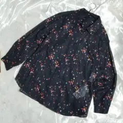 Item thumbnail for item 1a267bde-a1df-4648-b6ec-ee10e477ed85