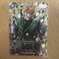 2026年最新】レアリティ：SR(パラレル) ドラゴンボールカード_