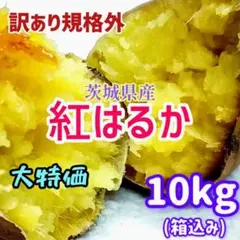 茨城県産訳あり規格外紅はるか10kgのサムネイル