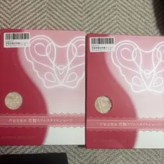 芦屋美整体骨盤スリムスタイルショーツM 2枚