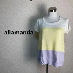 allamanda アラマンダ　半袖　Tシャツ　グラデーション　38△のサムネイル