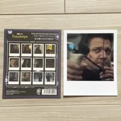 Item thumbnail for item 51539e89-9e9d-4639-b840-dc9e3f642b4e