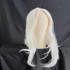 Item thumbnail for item bdbd35a5-e141-466a-8d25-cc9363acdd27