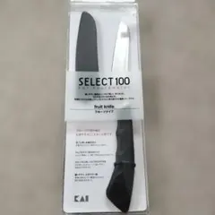 【審美未使用】貝印 SELECT100 フルーツナイフのサムネイル