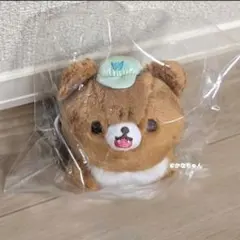 海外限定 チャイロイコグマ ぬいぐるみ 魔法使 リラックマ 小 s - メルカリ