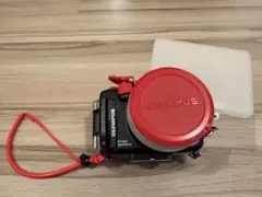 Item thumbnail for item 8ad7866f-2769-4bb6-acb4-6e4f486fc84a