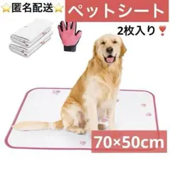 2枚入 ペットシーツ おしっこシート 犬 洗濯可能 消臭 超吸収のサムネイル