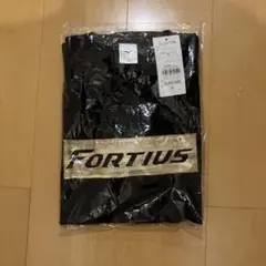 Mizuno FORTIUS XLサイズ 黒ウェア